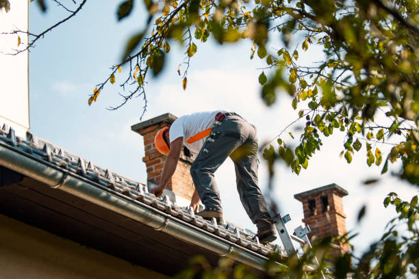 Best Roof Moss and Algae Removal  in Magnolia, NC
